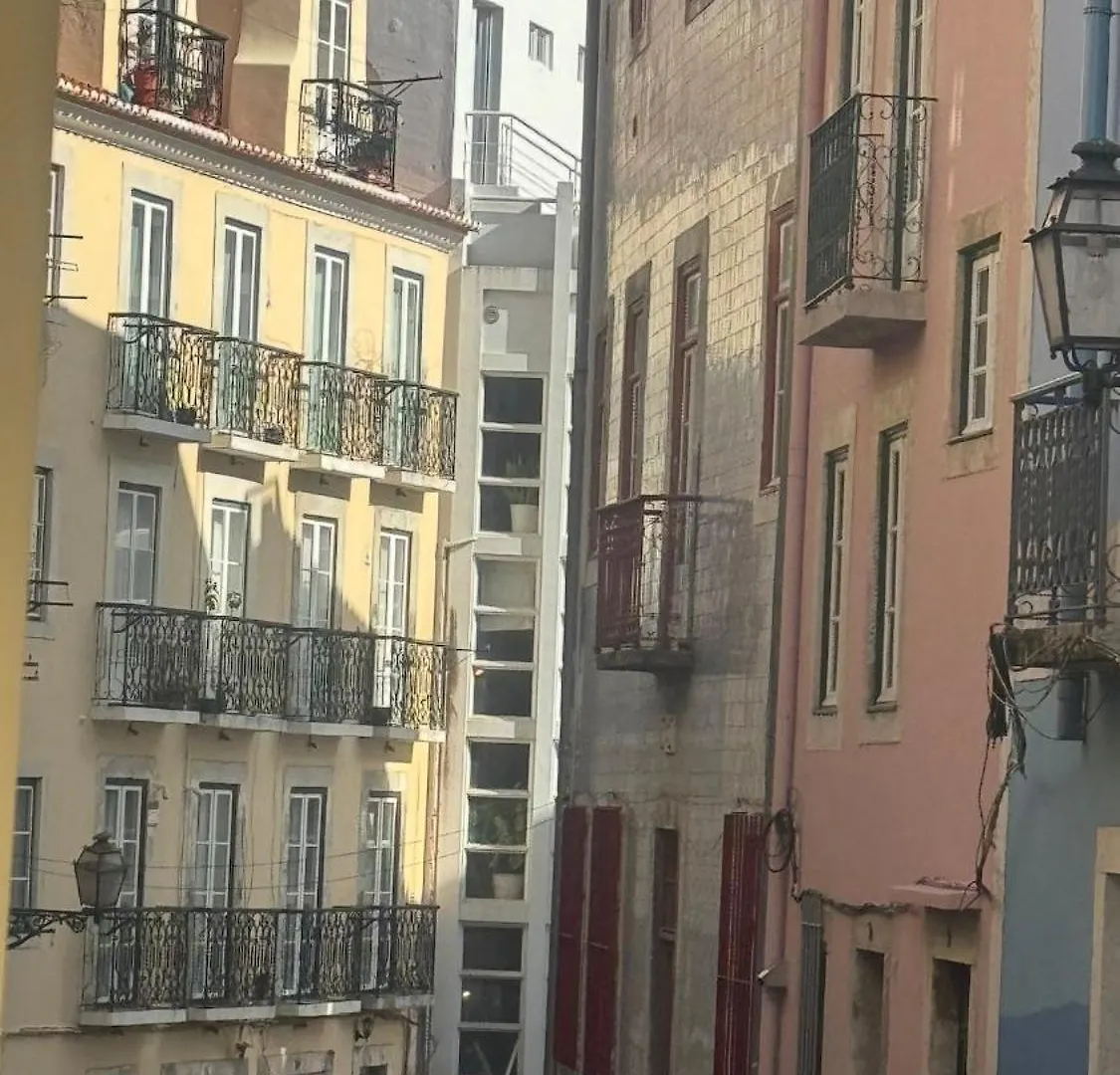 Apartment Modern Cozy Stay In Central Lisbon